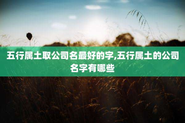五行属土取公司名最好的字,五行属土的公司名字有哪些