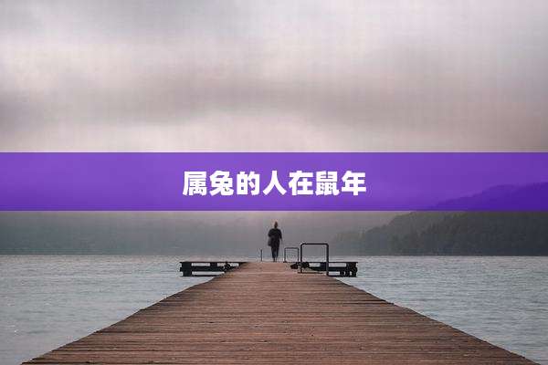 属兔的人在鼠年