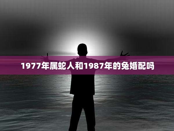 1977年属蛇人和1987年的兔婚配吗