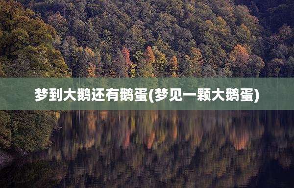 梦到大鹅还有鹅蛋(梦见一颗大鹅蛋)