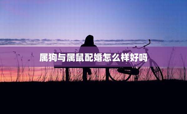 属狗与属鼠配婚怎么样好吗