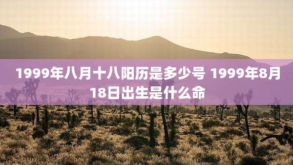 1999年八月十八阳历是多少号 1999年8月18日出生是什么命