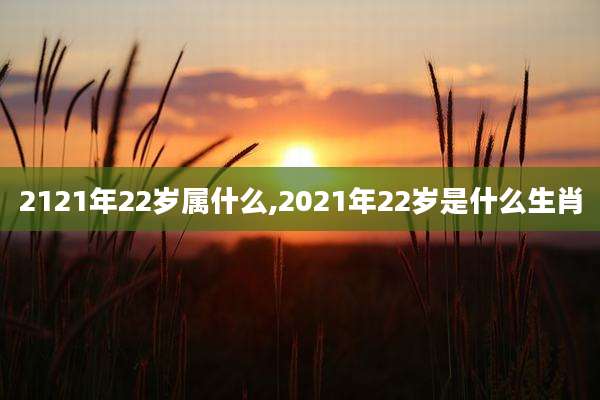 2121年22岁属什么,2021年22岁是什么生肖