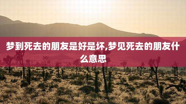 梦到死去的朋友是好是坏,梦见死去的朋友什么意思