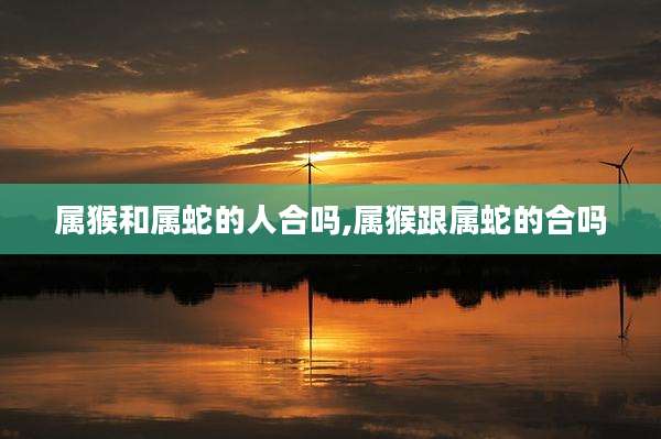 属猴和属蛇的人合吗,属猴跟属蛇的合吗