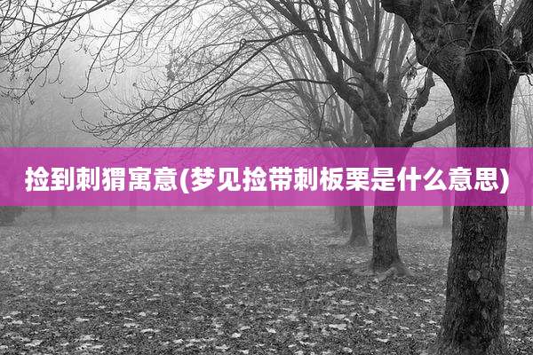 捡到刺猬寓意(梦见捡带刺板栗是什么意思)