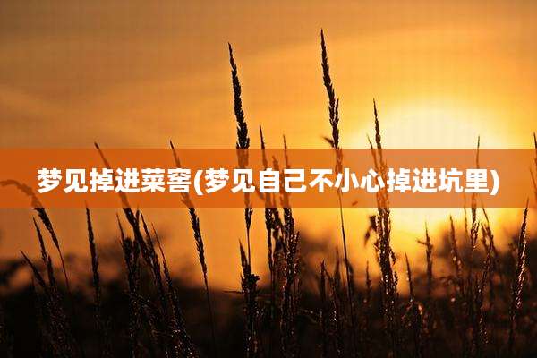 梦见掉进菜窖(梦见自己不小心掉进坑里)