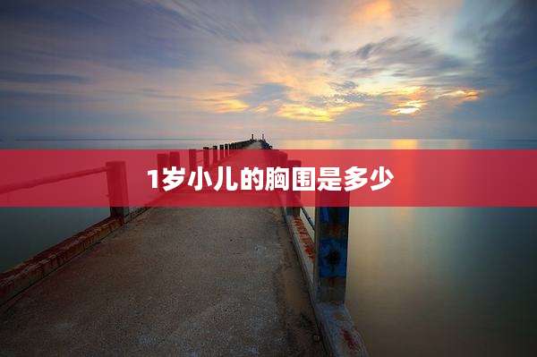 1岁小儿的胸围是多少