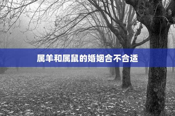 属羊和属鼠的婚姻合不合适