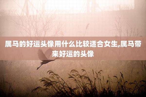 属马的好运头像用什么比较适合女生,属马带来好运的头像