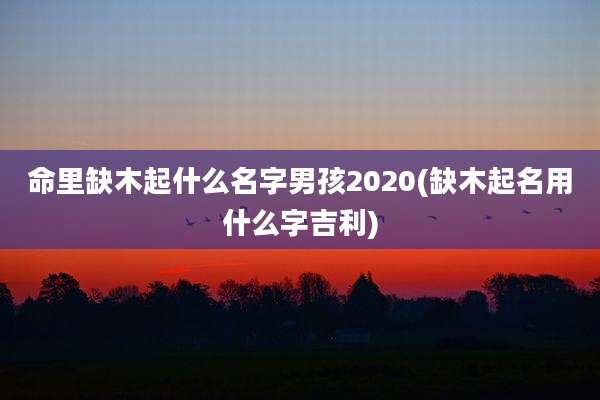 命里缺木起什么名字男孩2020(缺木起名用什么字吉利)