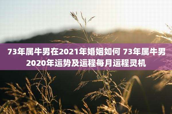 73年属牛男在2021年婚姻如何 73年属牛男2020年运势及运程每月运程灵机