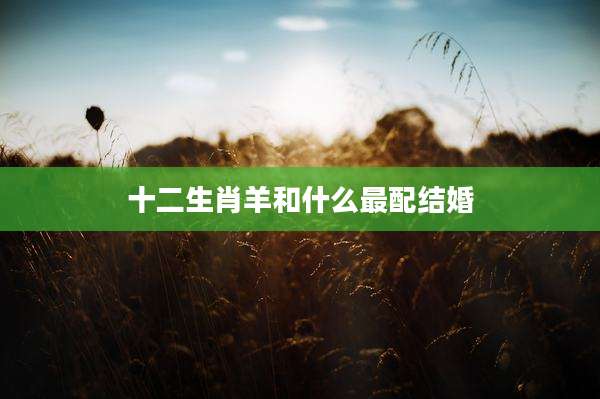 十二生肖羊和什么最配结婚