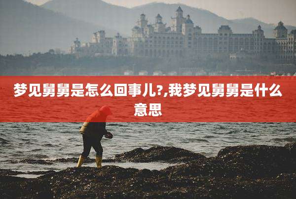 梦见舅舅是怎么回事儿?,我梦见舅舅是什么意思