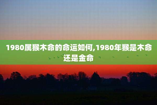 1980属猴木命的命运如何,1980年猴是木命还是金命