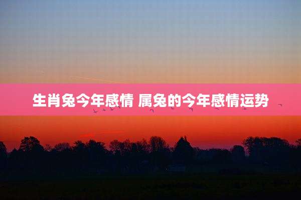 生肖兔今年感情 属兔的今年感情运势