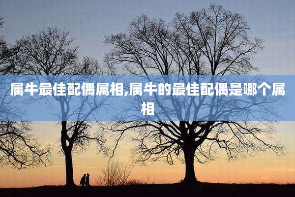 属牛最佳配偶属相,属牛的最佳配偶是哪个属相