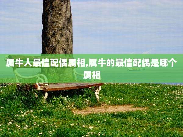 属牛人最佳配偶属相,属牛的最佳配偶是哪个属相