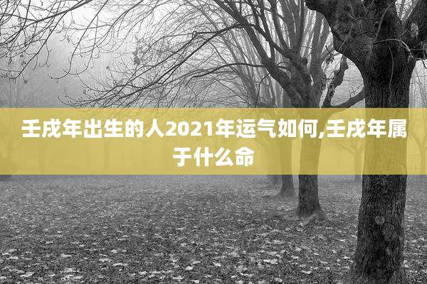 壬戌年出生的人2021年运气如何,壬戌年属于什么命
