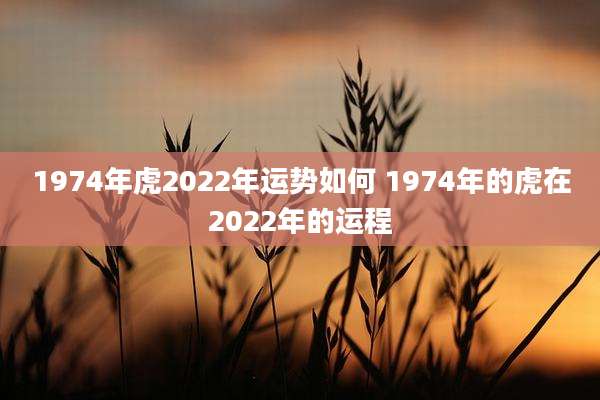 1974年虎2022年运势如何 1974年的虎在2022年的运程