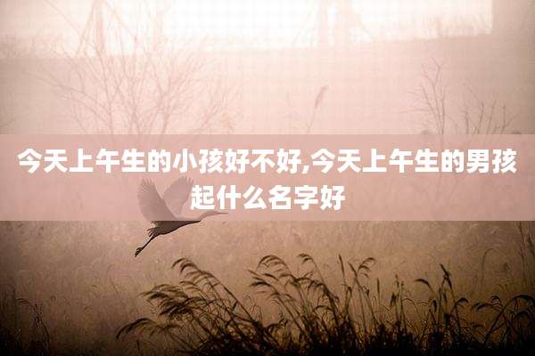 今天上午生的小孩好不好,今天上午生的男孩起什么名字好
