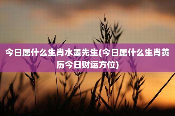 今日属什么生肖水墨先生(今日属什么生肖黄历今日财运方位)