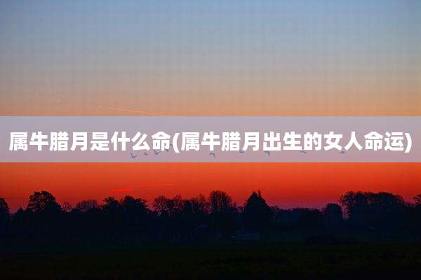属牛腊月是什么命(属牛腊月出生的女人命运)