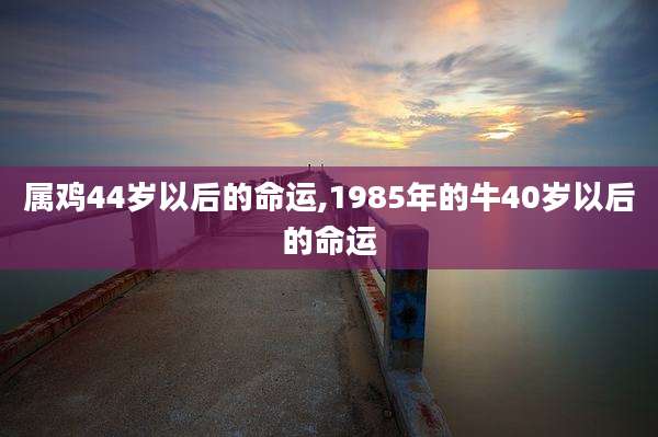 属鸡44岁以后的命运,1985年的牛40岁以后的命运