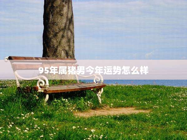95年属猪男今年运势怎么样
