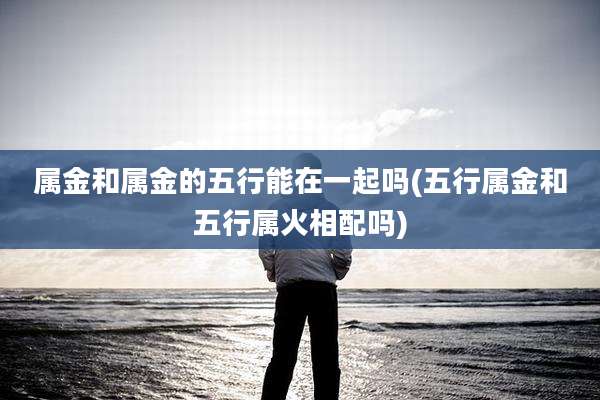 属金和属金的五行能在一起吗(五行属金和五行属火相配吗)