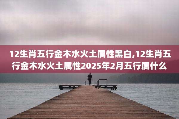 12生肖五行金木水火土属性黑白,12生肖五行金木水火土属性2025年2月五行属什么