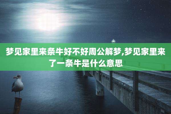 梦见家里来条牛好不好周公解梦,梦见家里来了一条牛是什么意思