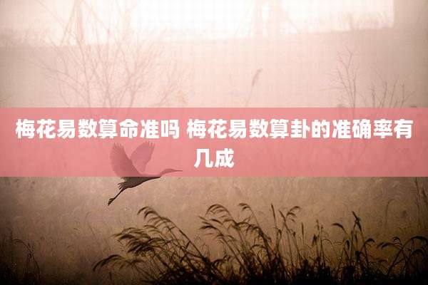 梅花易数算命准吗 梅花易数算卦的准确率有几成