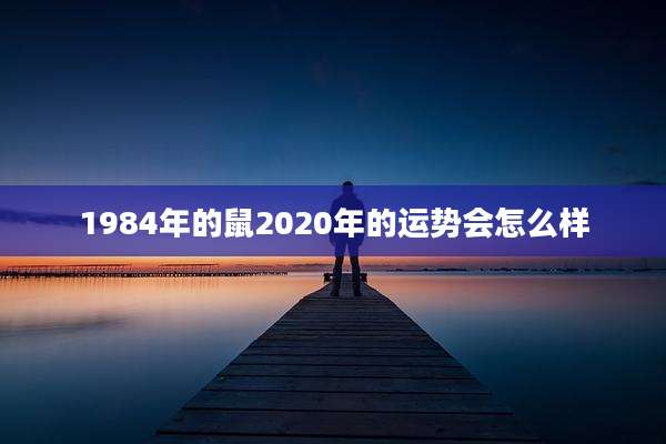 1984年的鼠2020年的运势会怎么样