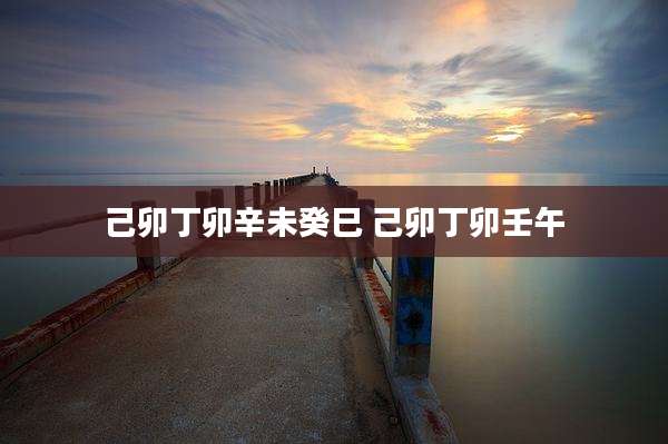 己卯丁卯辛未癸巳 己卯丁卯壬午