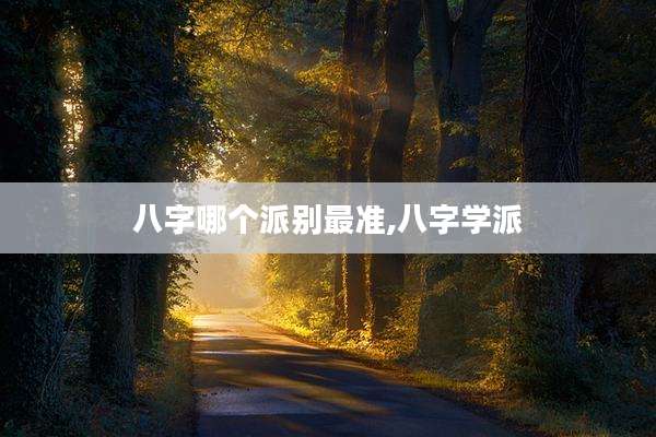 八字哪个派别最准,八字学派