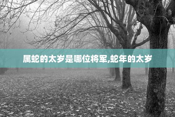 属蛇的太岁是哪位将军,蛇年的太岁