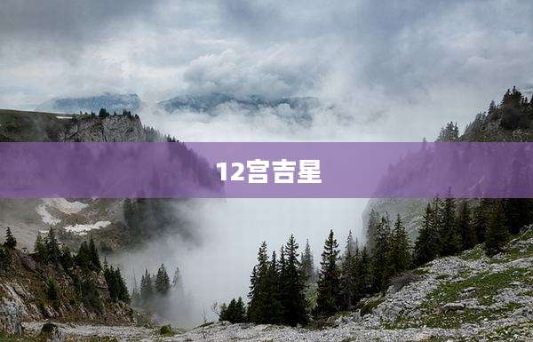 12宫吉星