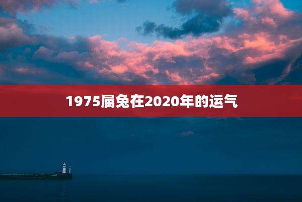 1975属兔在2020年的运气