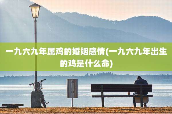 一九六九年属鸡的婚姻感情(一九六九年出生的鸡是什么命)