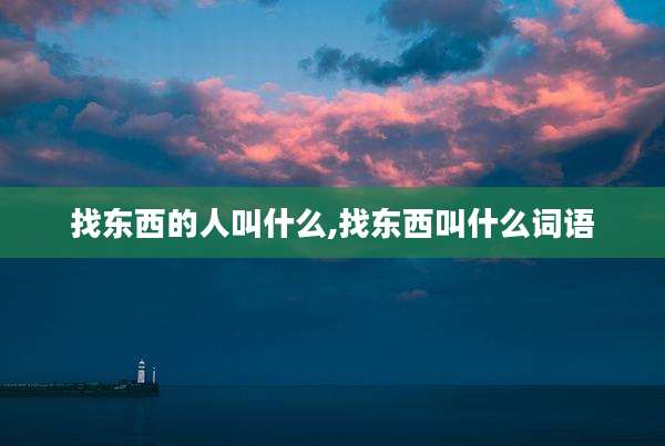 找东西的人叫什么,找东西叫什么词语