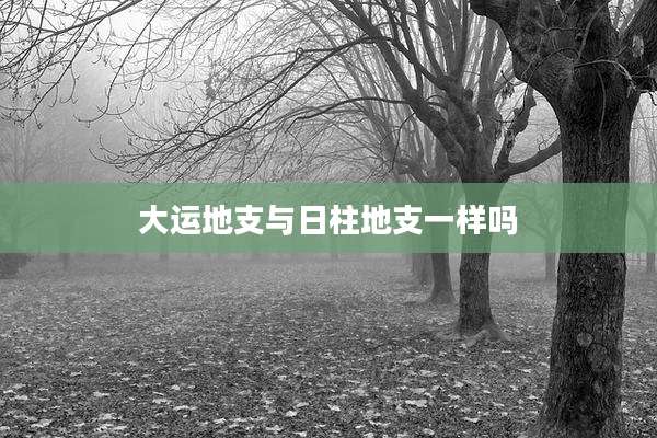 大运地支与日柱地支一样吗