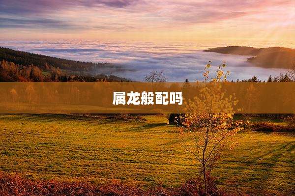 属龙般配吗