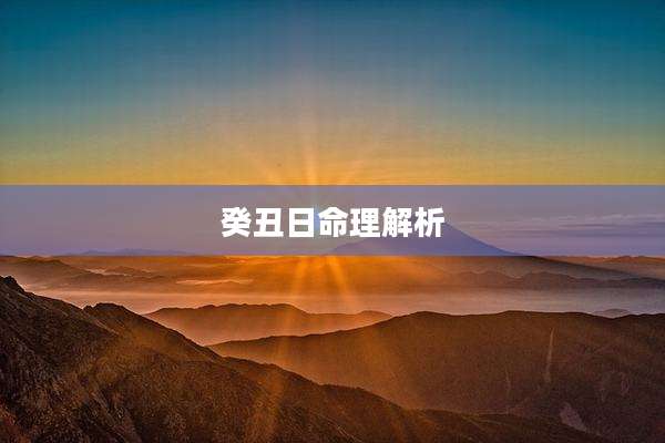 癸丑日命理解析