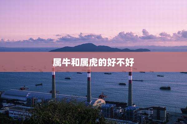 属牛和属虎的好不好