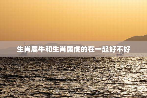 生肖属牛和生肖属虎的在一起好不好