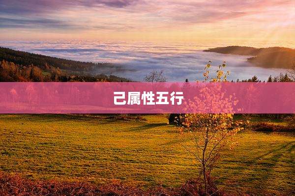 己属性五行