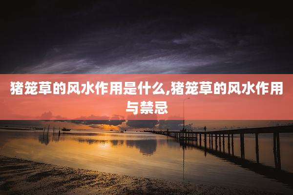 猪笼草的风水作用是什么,猪笼草的风水作用与禁忌