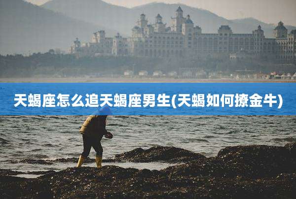 天蝎座怎么追天蝎座男生(天蝎如何撩金牛)