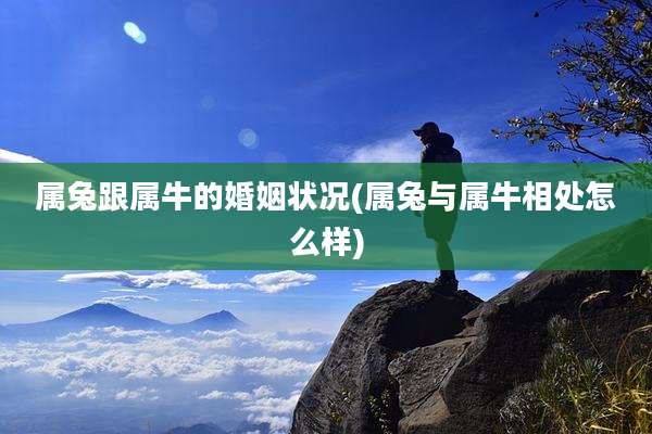 属兔跟属牛的婚姻状况(属兔与属牛相处怎么样)
